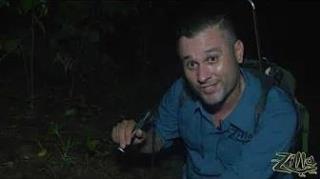 Zilla Beyond The Glass