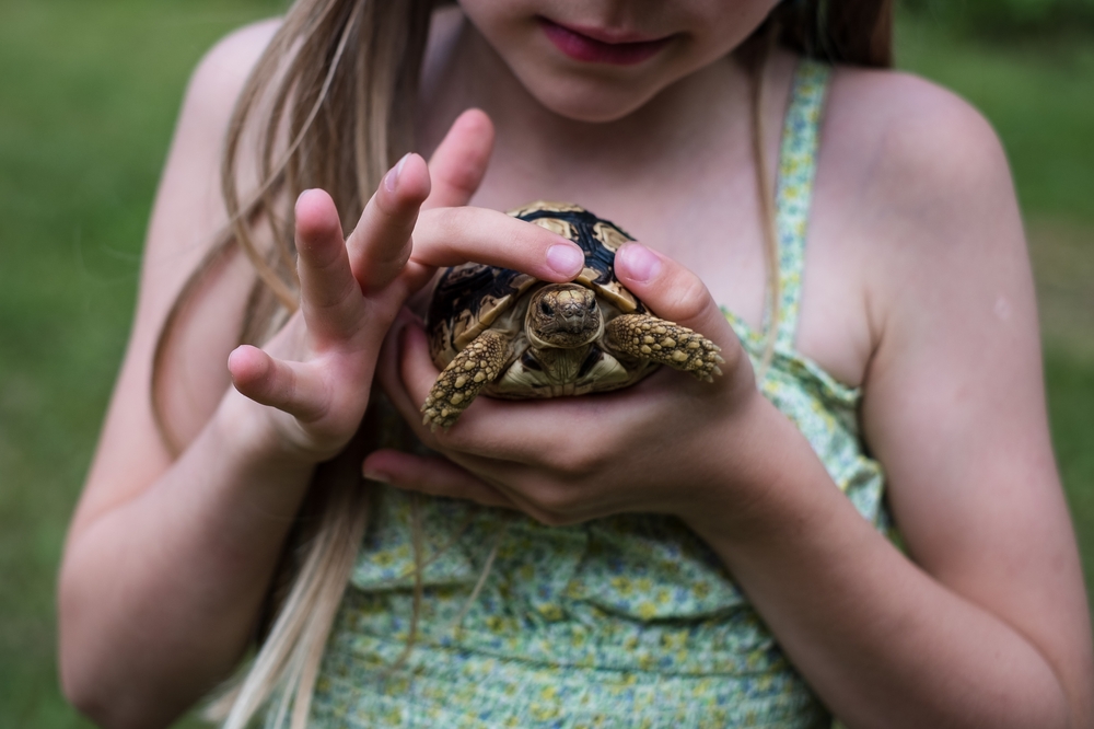 shutterstock_2182916421