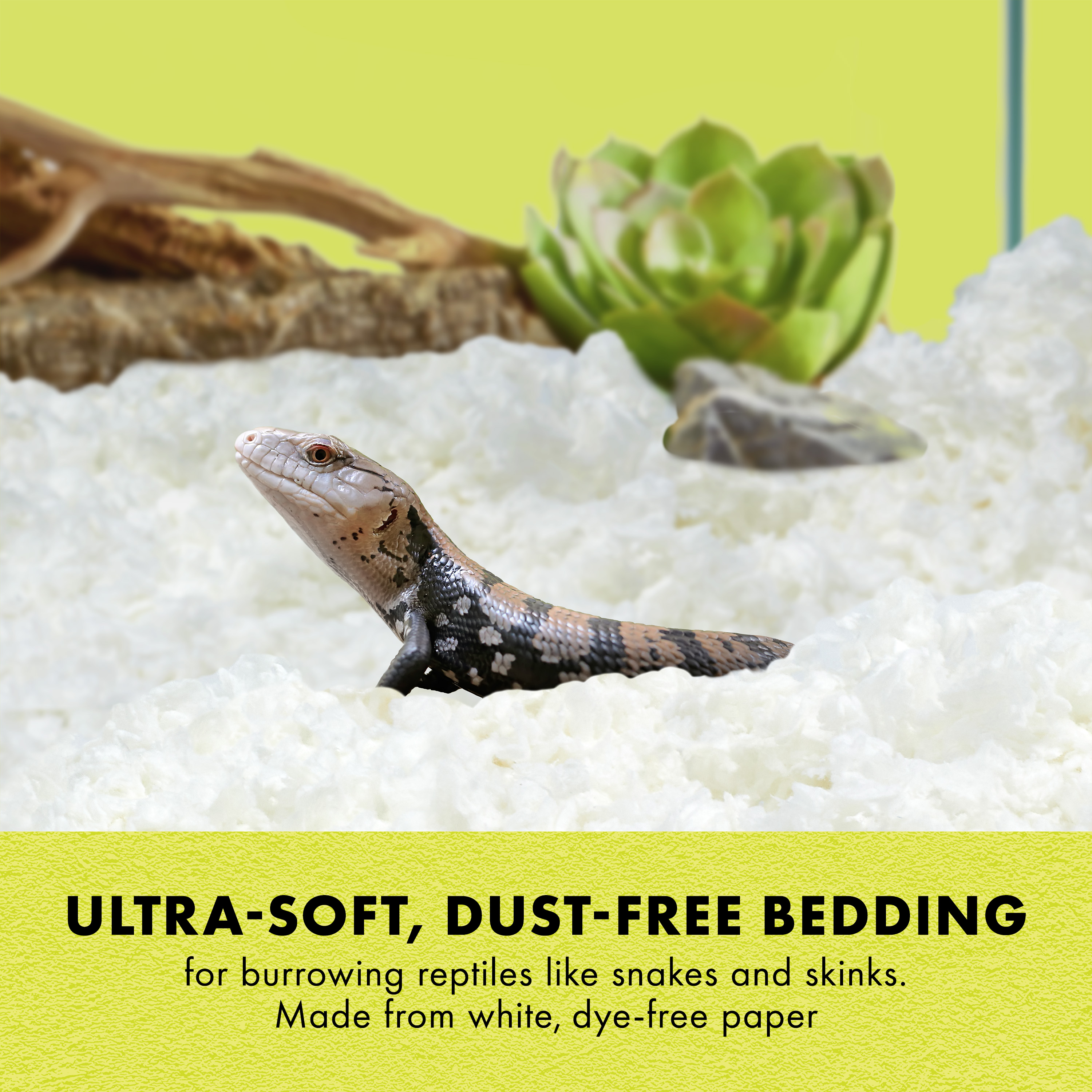 100552239_infographic01