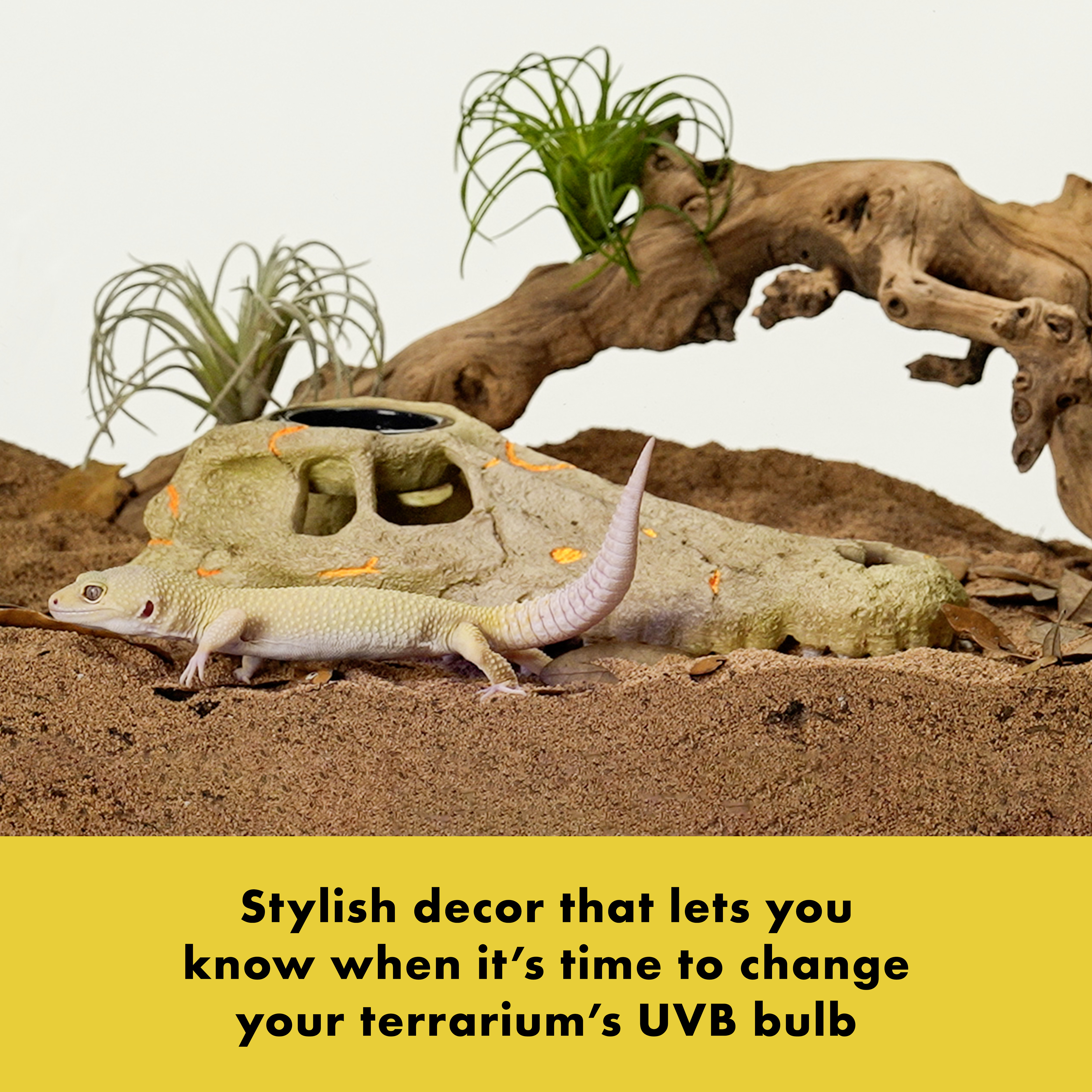 096316002180_Zilla_Rapid_Sense_Decor_Large_Crocodile_Skull_pk_front