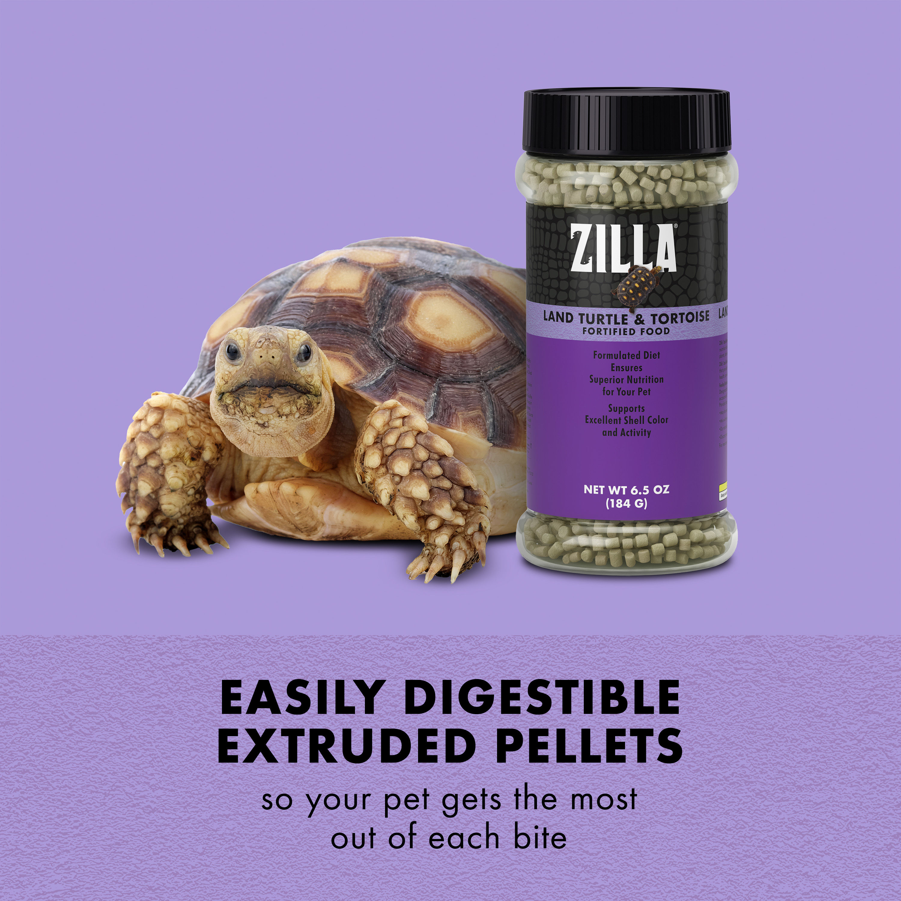 750396601-100111681_infographic03