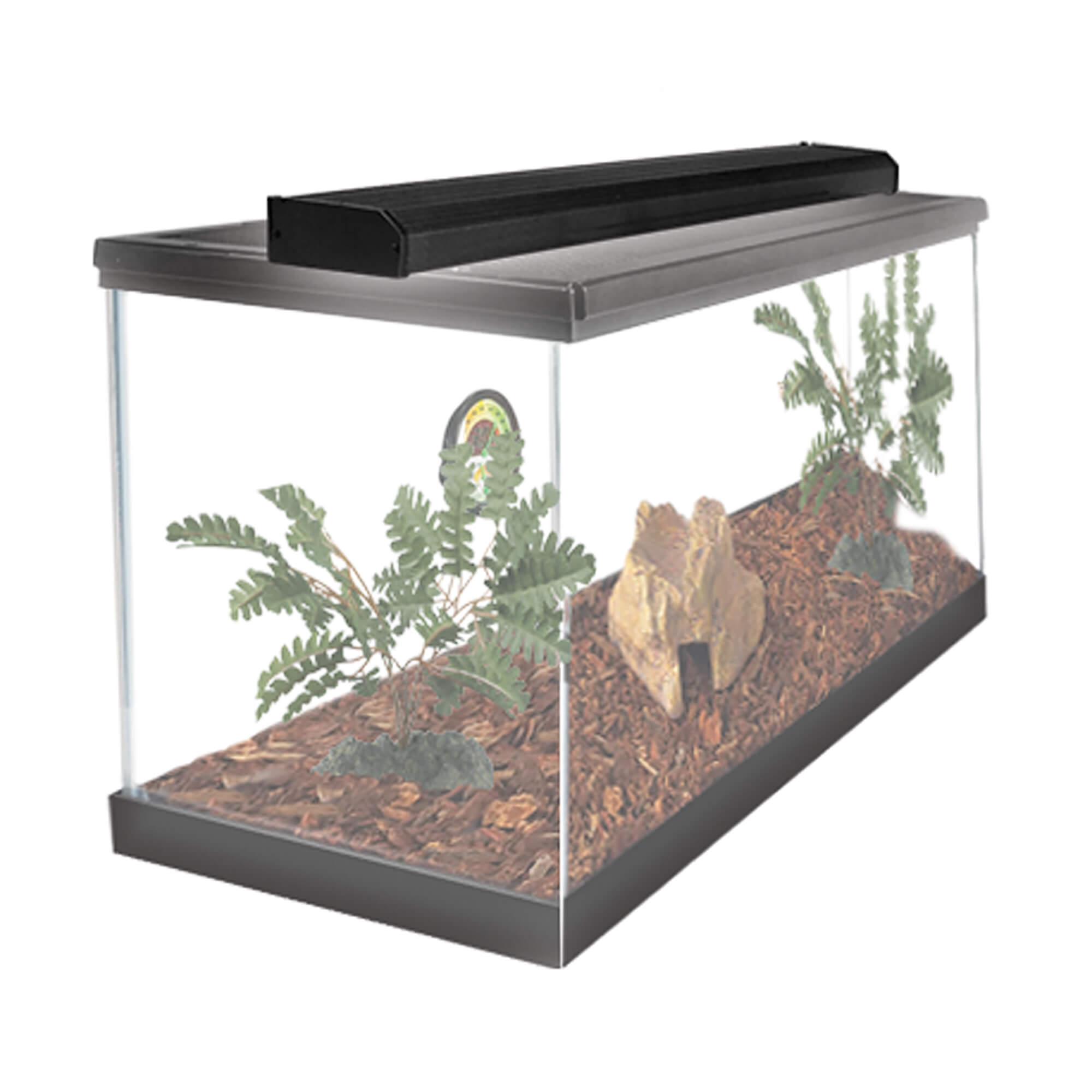 Zilla Slimline Tropical Fluorescent Light in Use