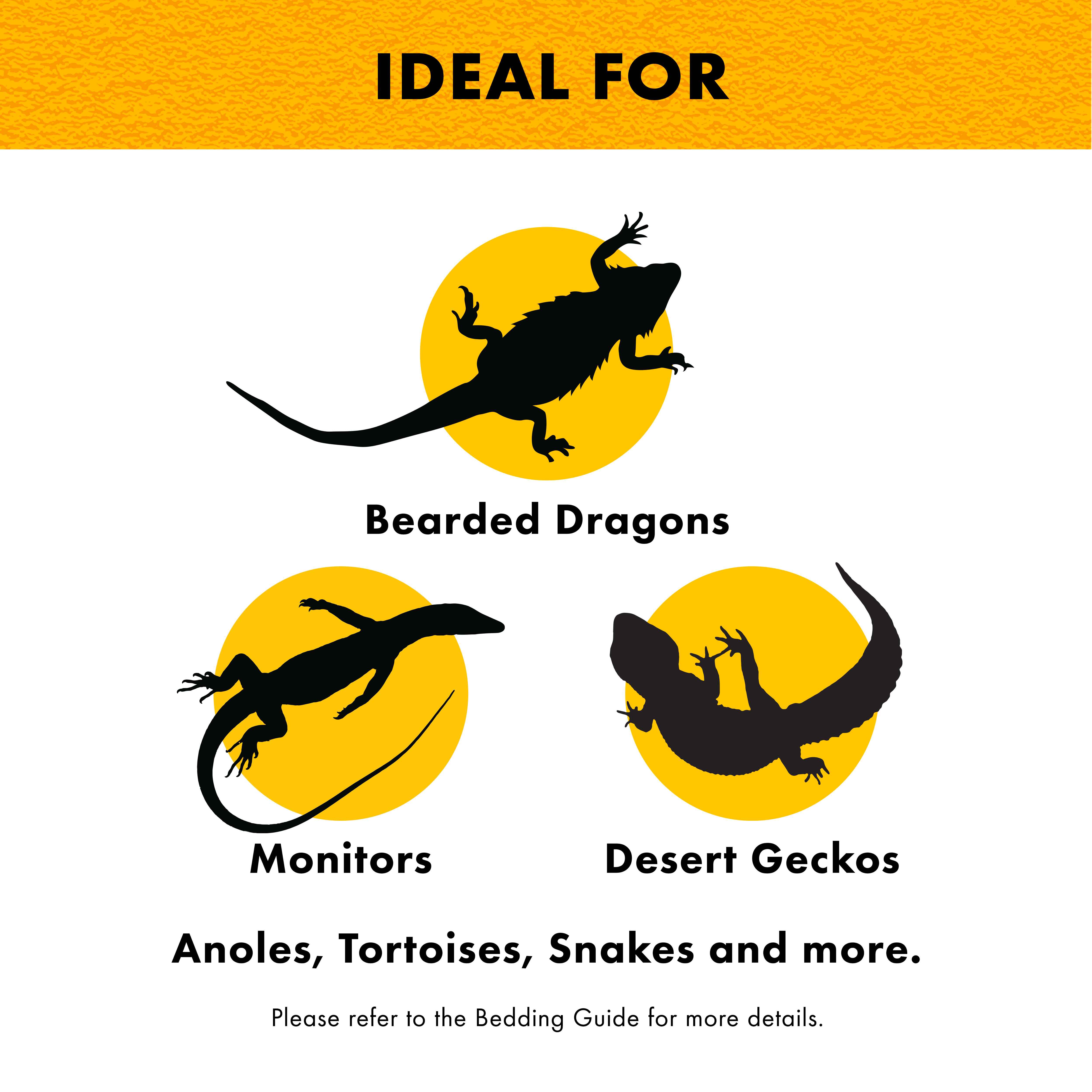 ZillaTerrariumLinerBrown04