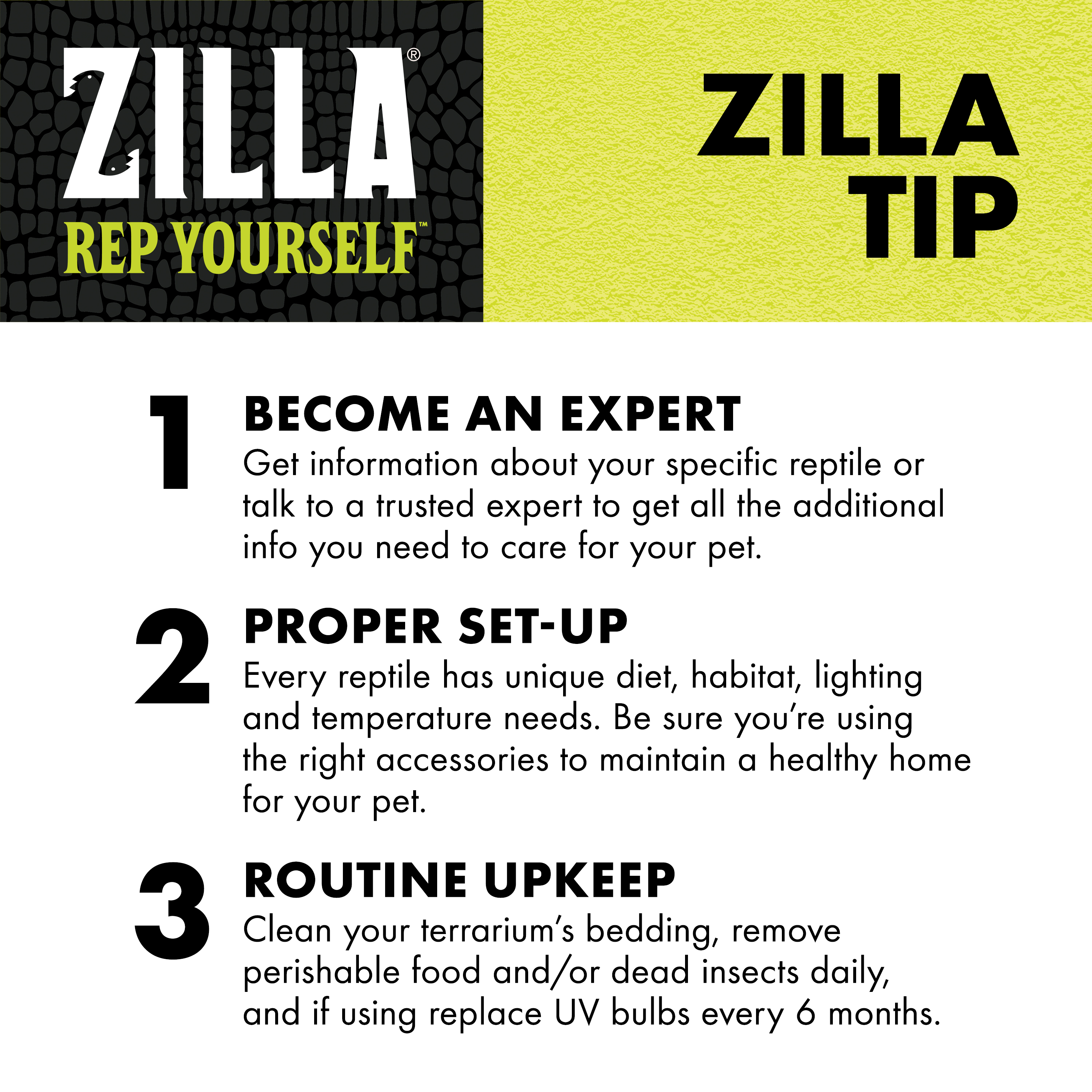 716563656-zilla_infographic10_educationliner-2