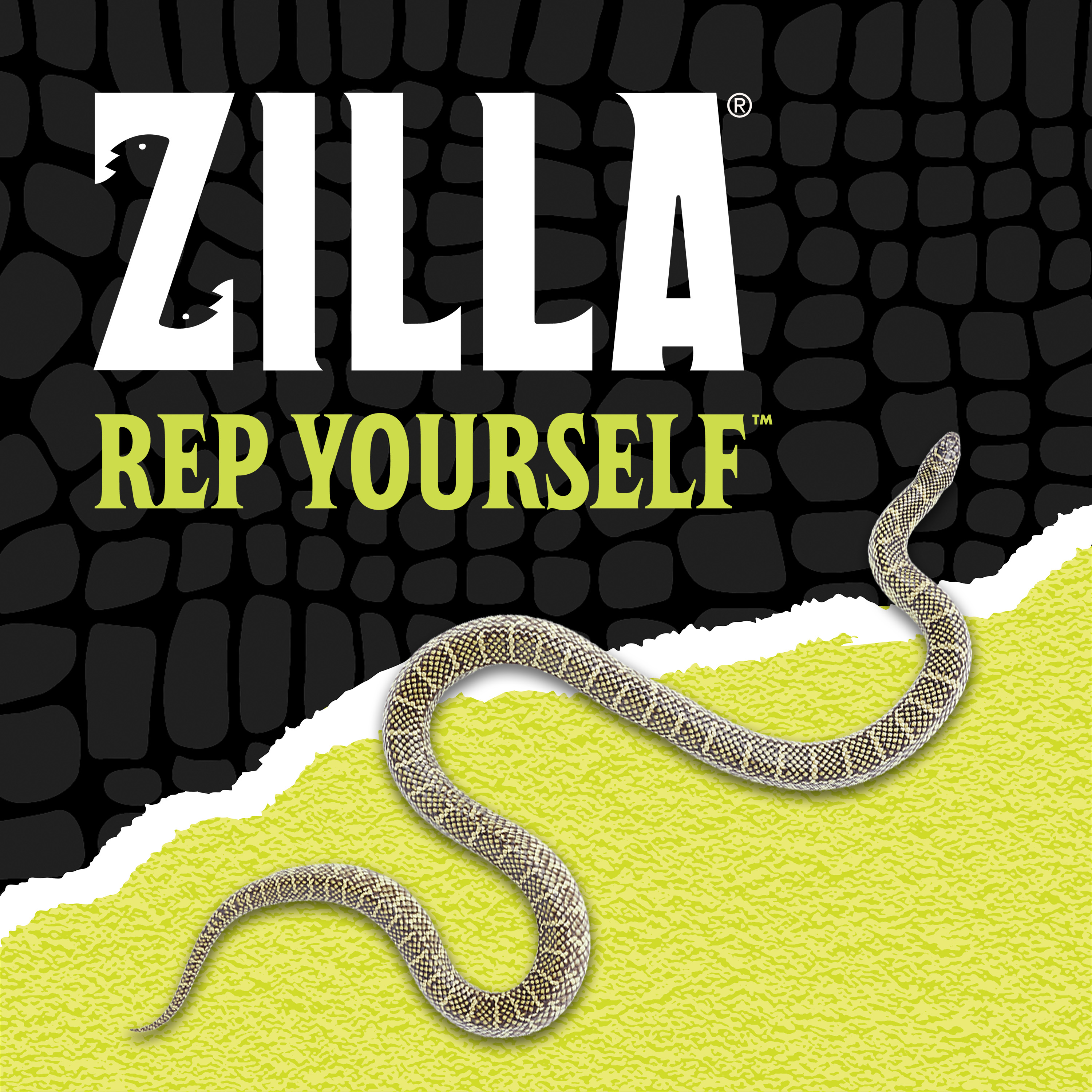 716563817-zilla_lifestyle20_brandingbd