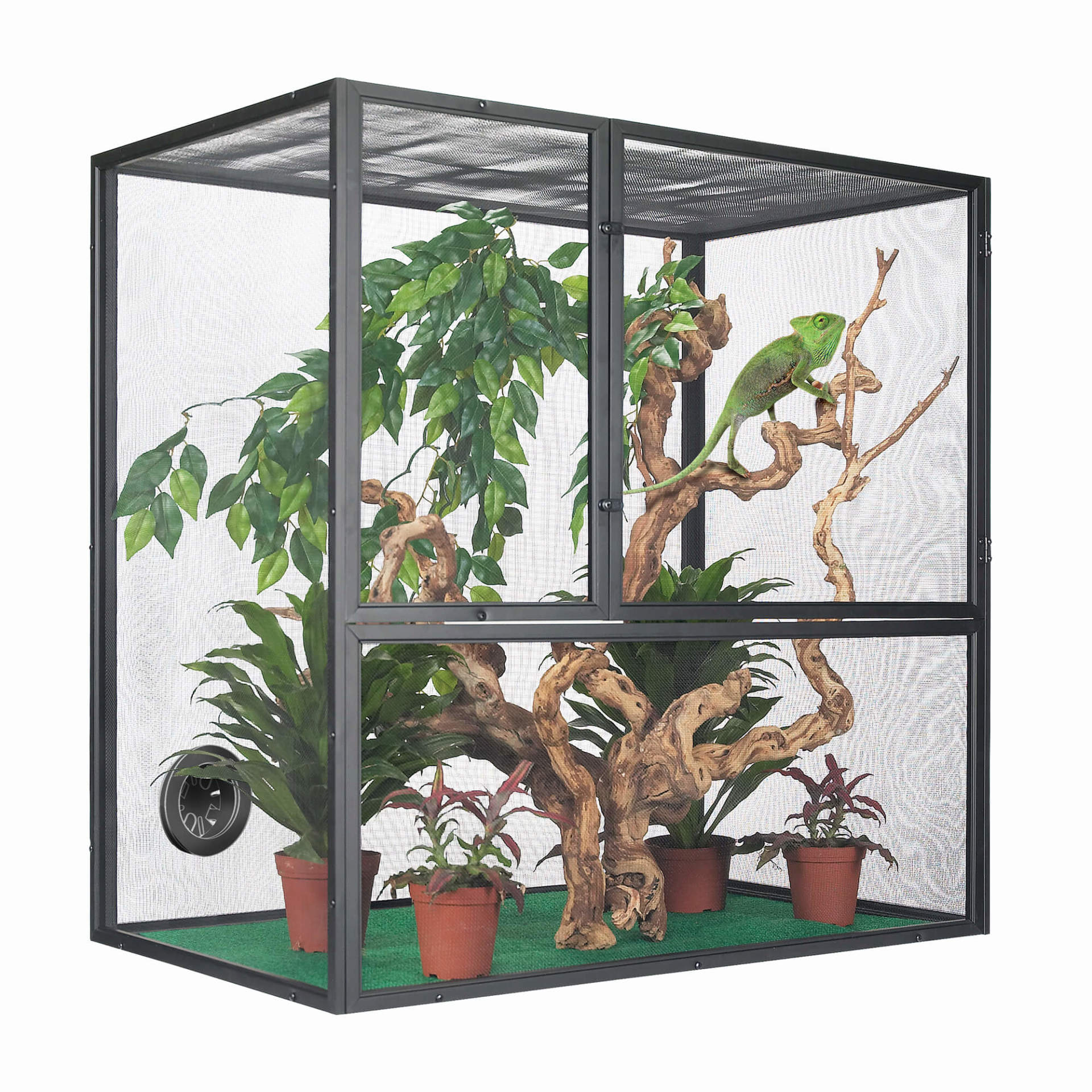 Zilla Reptile Fresh Air Screen Habitat Setup